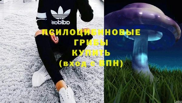 СК Бугульма