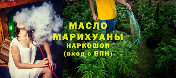 тгк Бородино