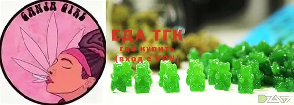 тгк Бородино
