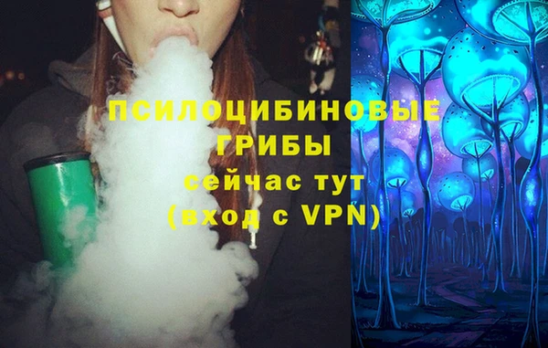 тгк Бородино