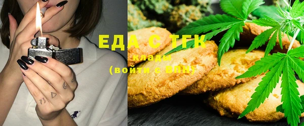 тгк Бородино