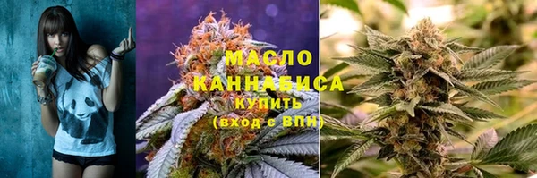 тгк Бородино
