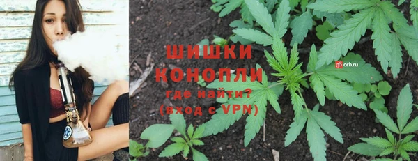 тгк Бородино